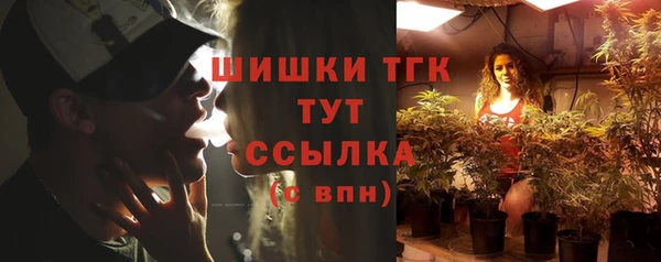 стаф Балахна