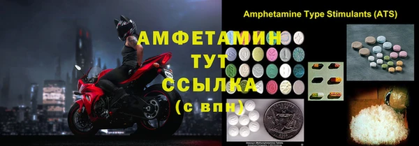 ГАЛЛЮЦИНОГЕННЫЕ ГРИБЫ Аркадак