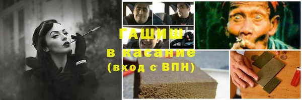 сатива Армянск