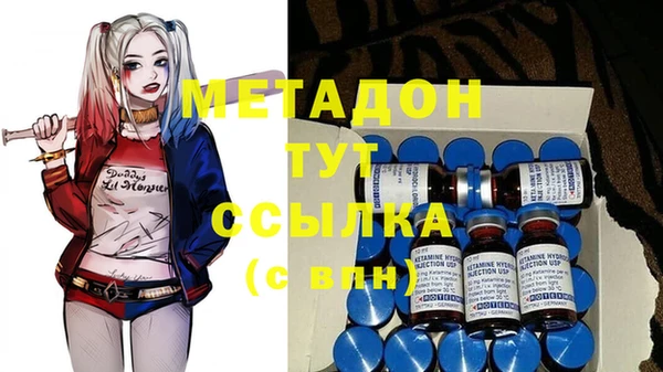 ГАЛЛЮЦИНОГЕННЫЕ ГРИБЫ Аркадак