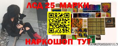 ГАЛЛЮЦИНОГЕННЫЕ ГРИБЫ Моздок