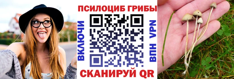Псилоцибиновые грибы GOLDEN TEACHER  что такое наркотик  Родники 