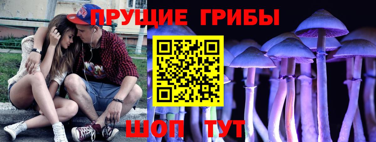 Родники  Галлюциногенные грибы прущие грибы  Вход с VPN 