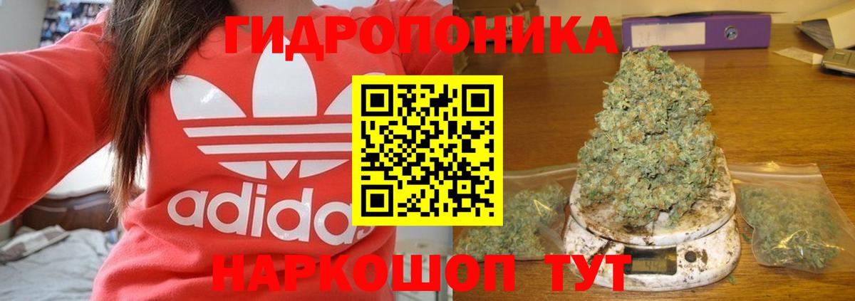 Конопля ГИДРОПОН Родники